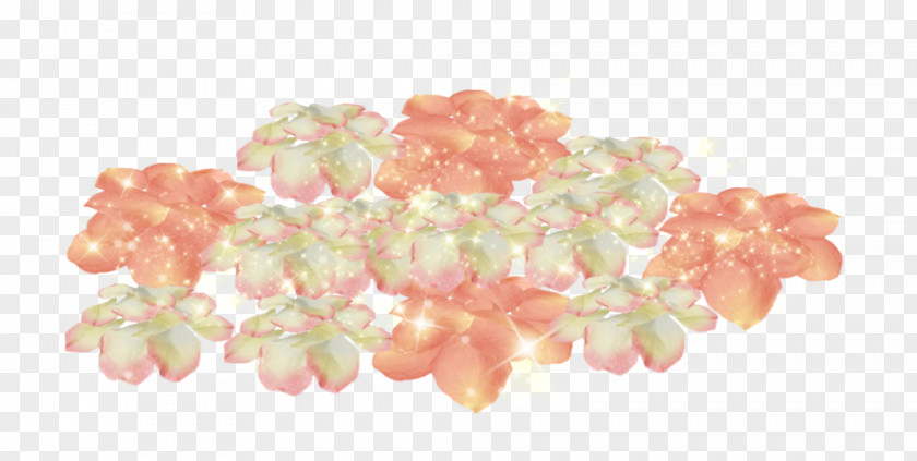Flower Petal Blume Rose PNG