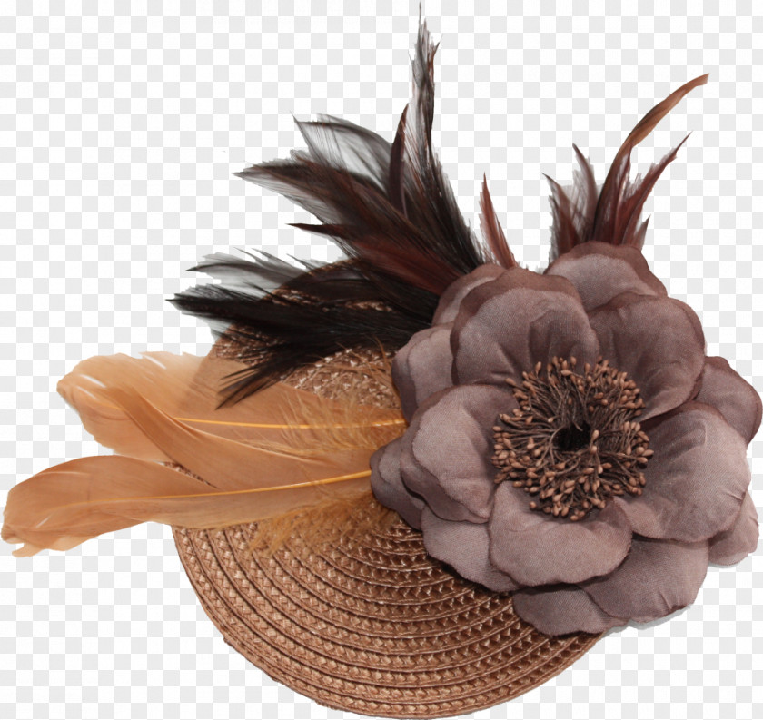 Hat Cut Flowers PNG