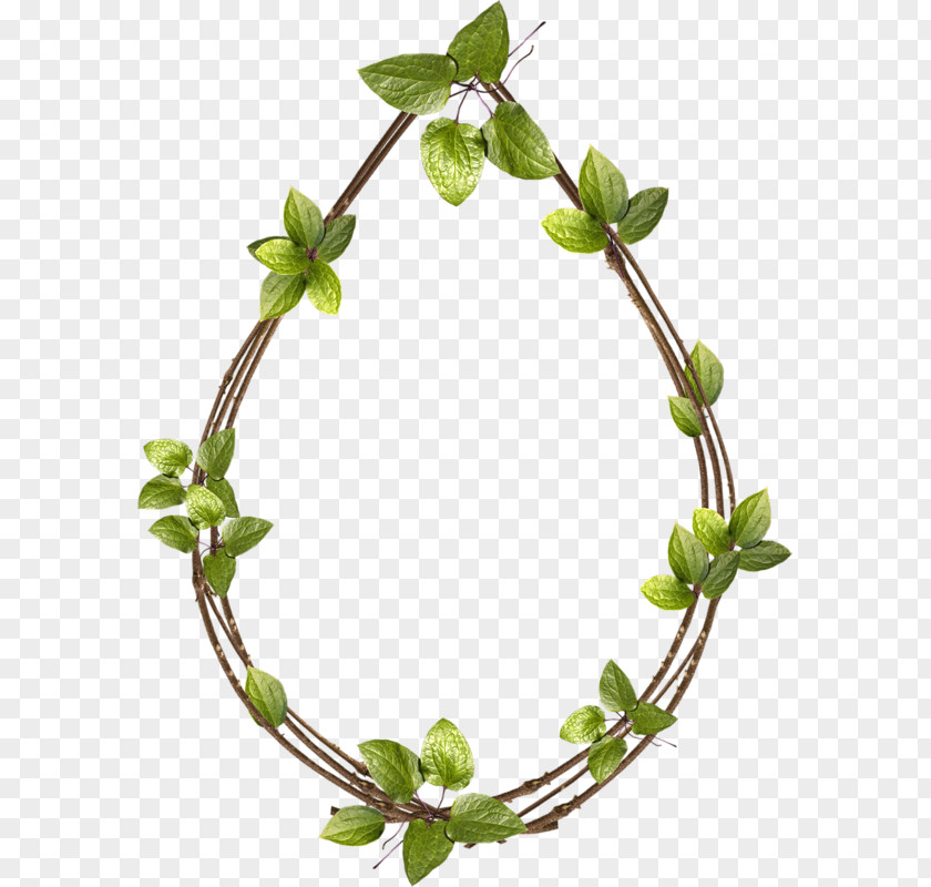 Spring Silhouette Clamp Leaf Clip Art Plants Image PNG