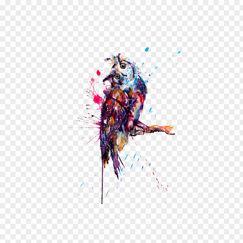 Watercolor Owl Tattoo Painting Drawing Sketch PNG