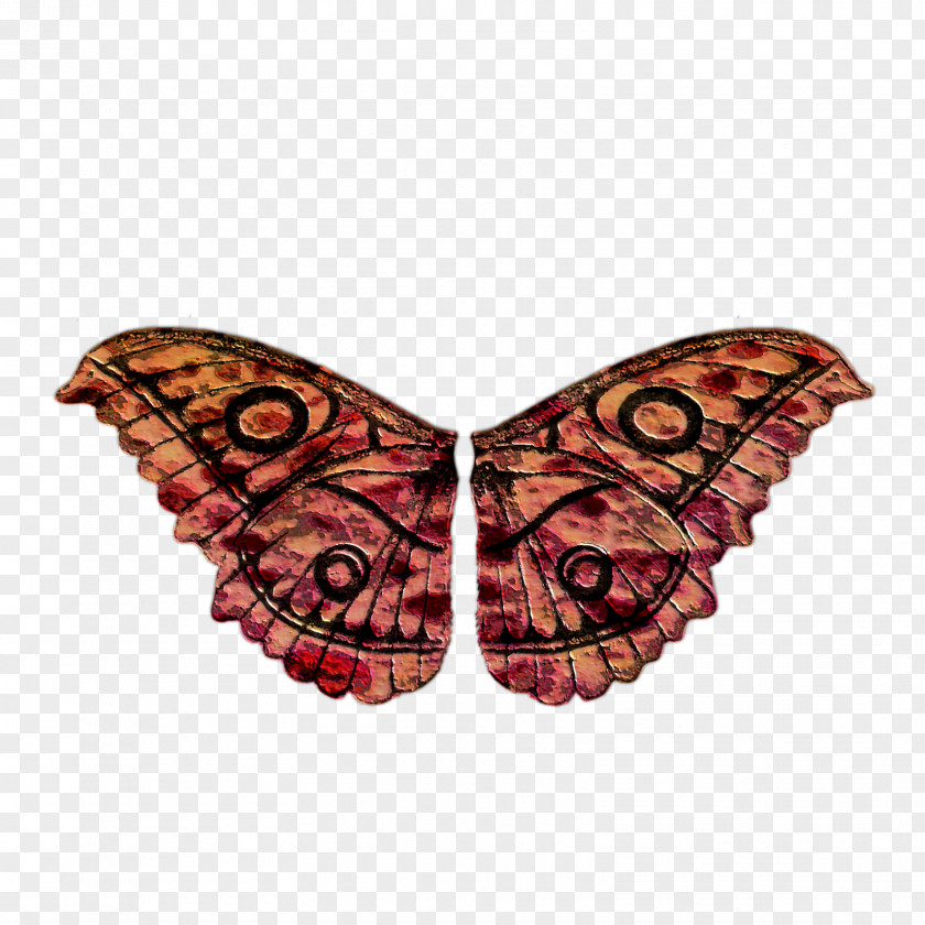 Butterfly Monarch Moth Insect Wing PNG