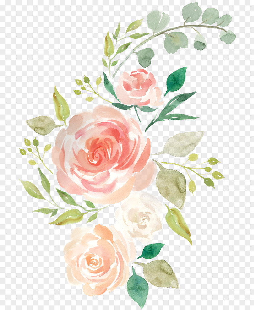 Flowers Watercolor Transparent Painting Floral Design Flower Rose PNG