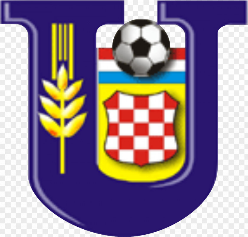 Football Brisbane Knights FC Premier League Australian-Croatian Soccer Tournament PNG