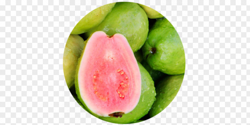 Guava India Miracle Fruit Auglis PNG