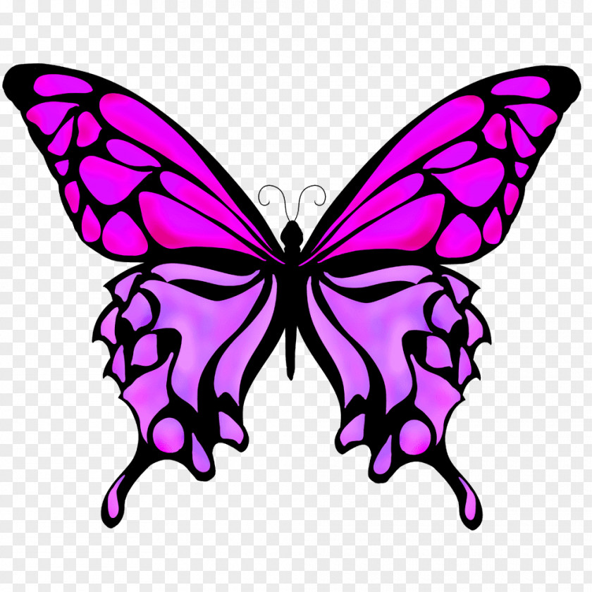 Old World Swallowtail Butterfly Drawing Vector Graphics Monarch PNG