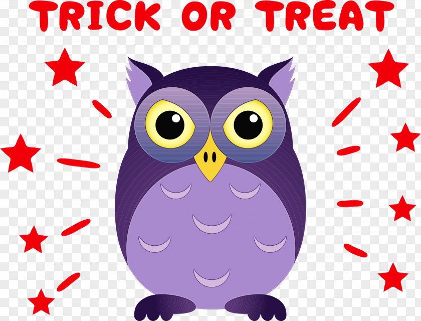 Owls Beak Cartoon Birds Bird Of Prey PNG