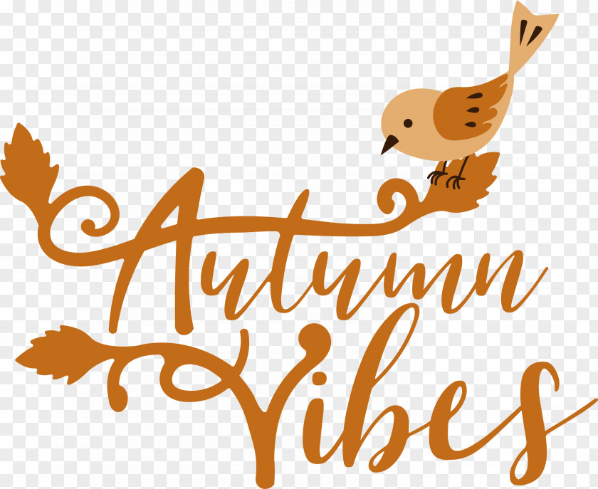 Autumn Vibes Autumn Fall PNG