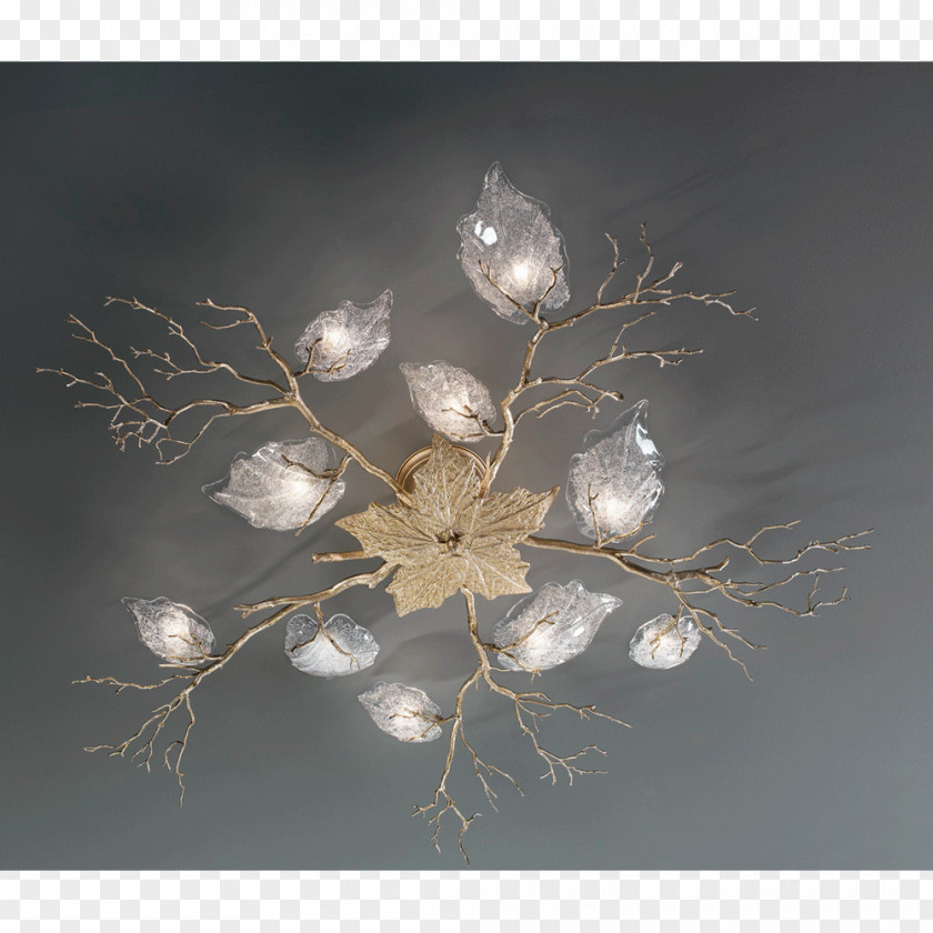 Color Collection Coral Light Fixture Light-emitting Diode Lamp Lighting PNG