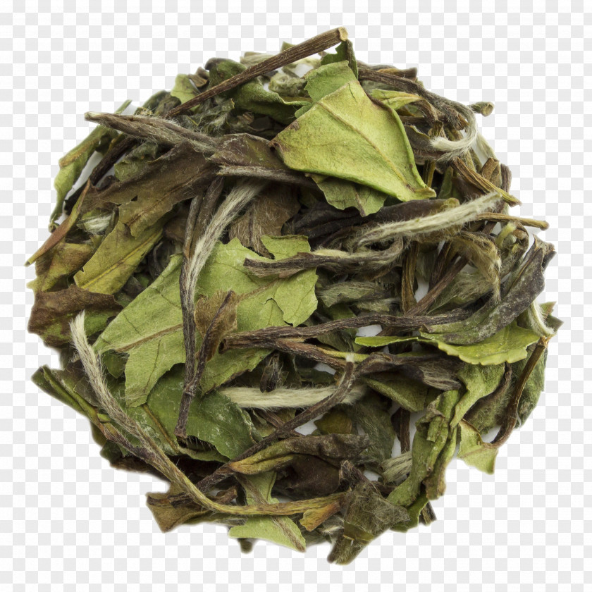 Fuding White Tea Bai Mudan Earl Grey Baihao Yinzhen PNG