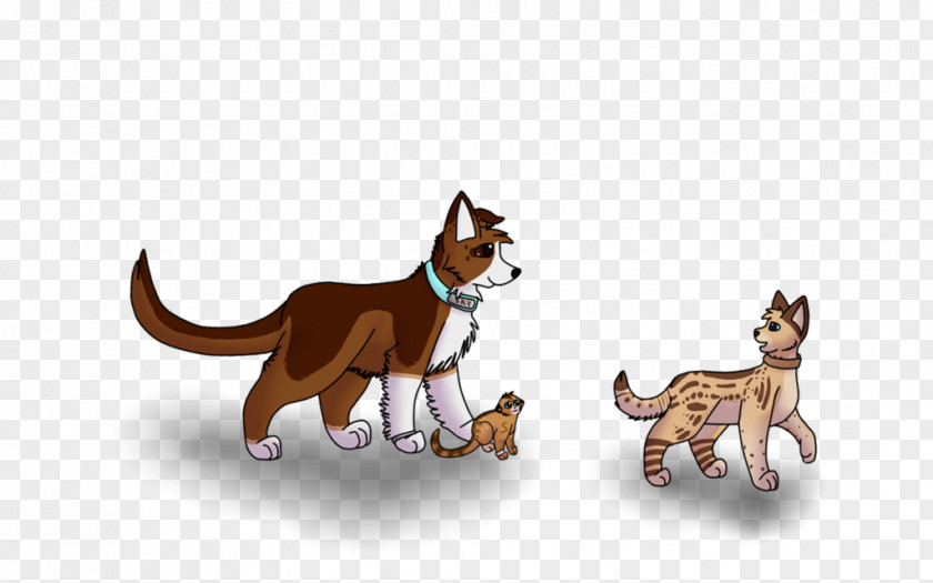 Imogen Cat Norwegian Lundehund Animal Mammal Puppy PNG