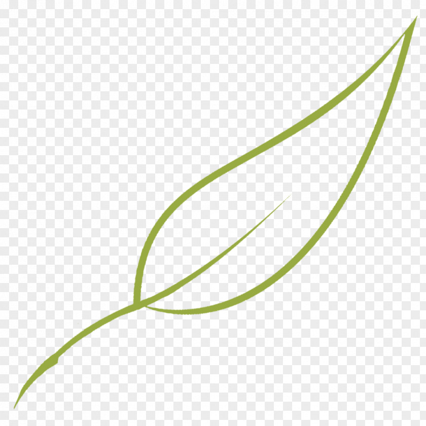 Leaf Green Grasses Graphics Plant Stem PNG