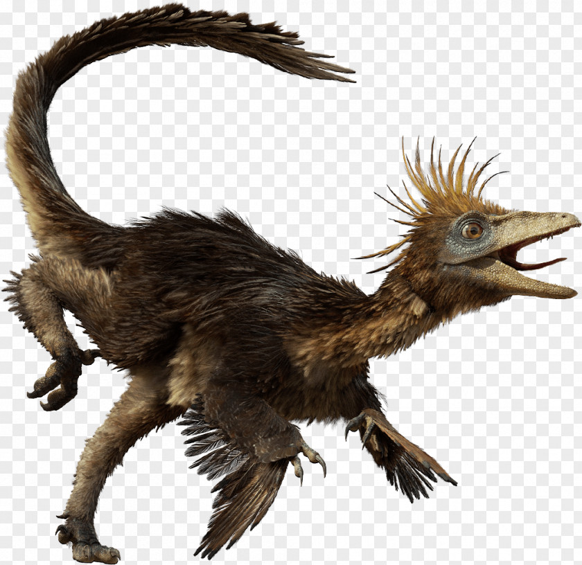 Dinosaurs Troodon Velociraptor Dromaeosaurus Edmontosaurus Gorgosaurus PNG