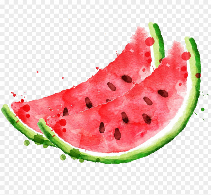 Watermelon Watercolor Royalty-free Stock Photography Clip Art PNG