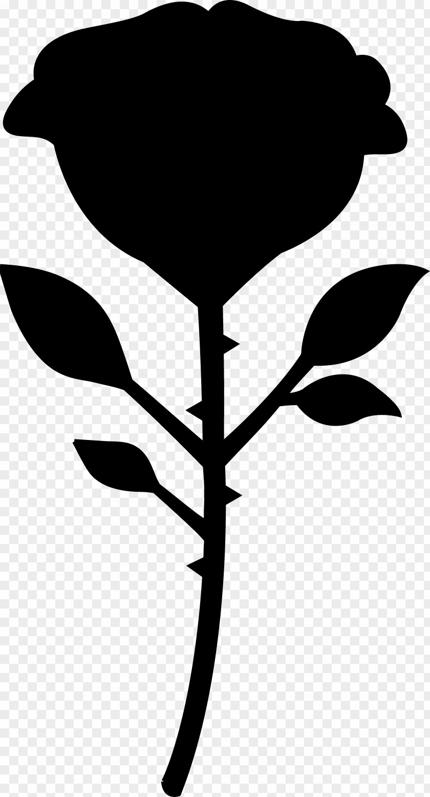 Clip Art Leaf Plant Stem Plants Microsoft PowerPoint PNG