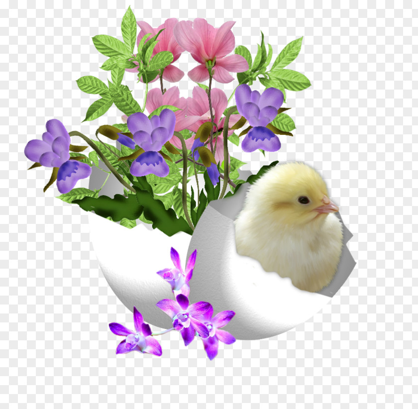 Easter Elements Egg Bunny .de PNG
