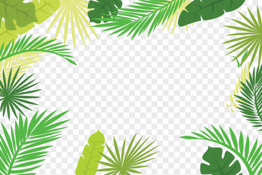 Palm Leaf Border Arecaceae Text Branch Illustration PNG