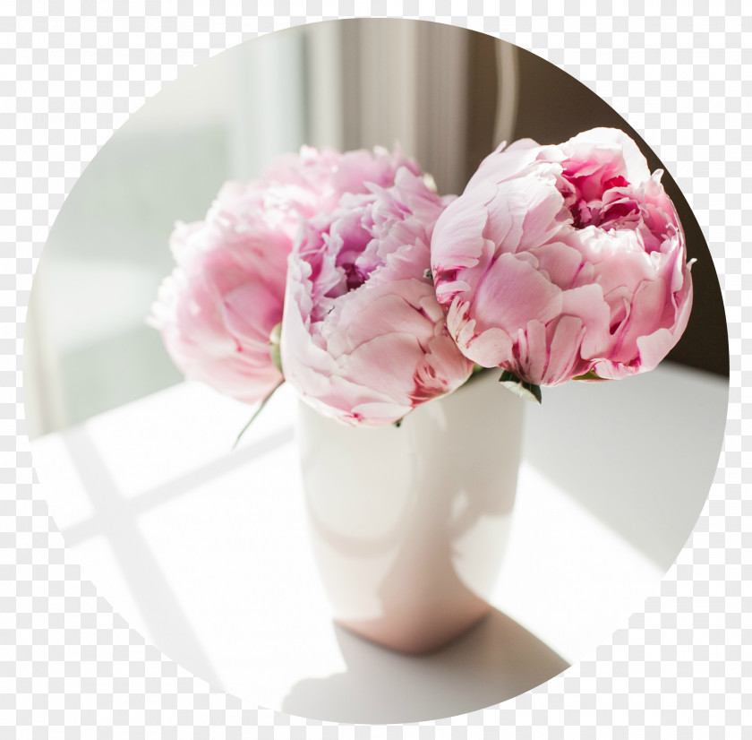 Peony Desktop Wallpaper High-definition Television PNG