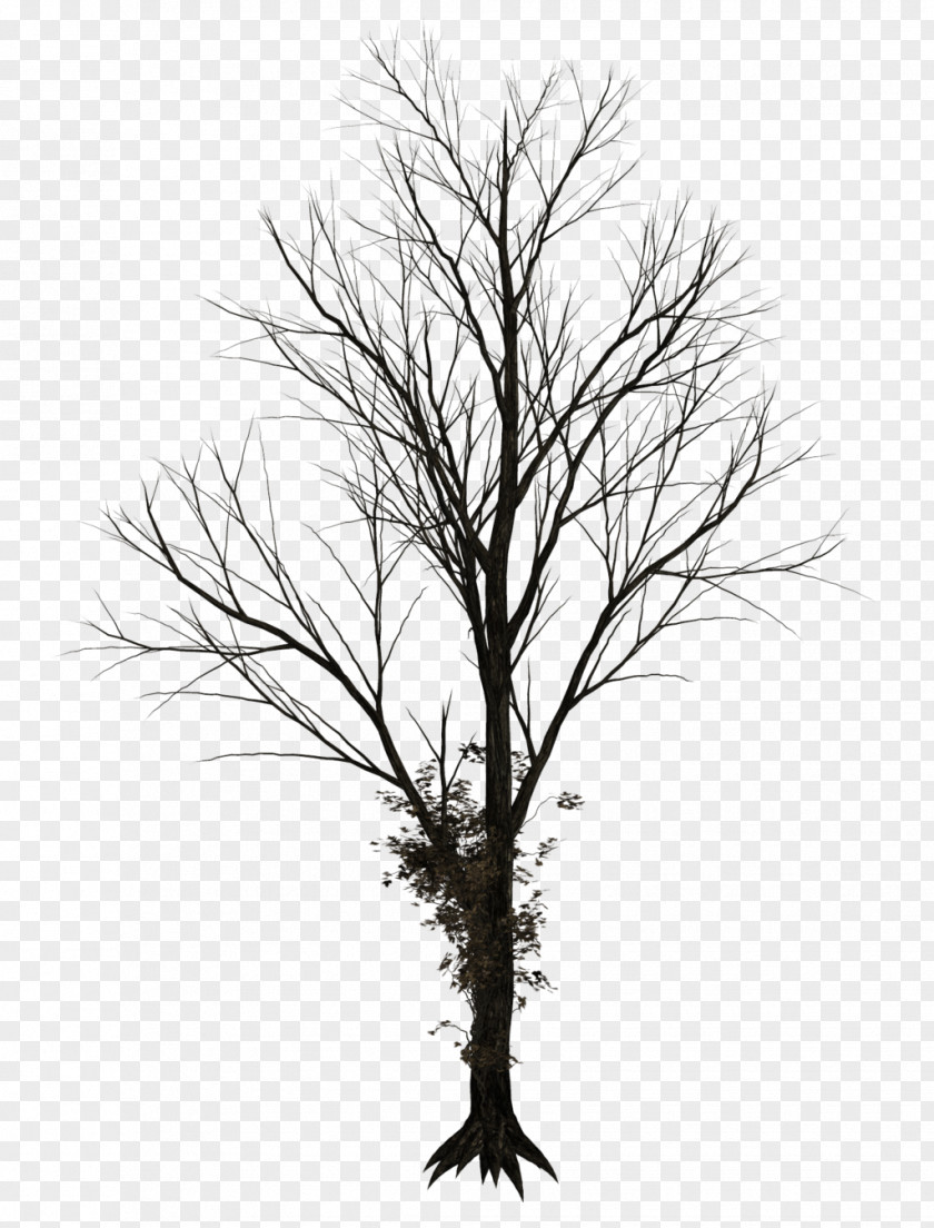 Winter Trees Tree Drawing Clip Art PNG