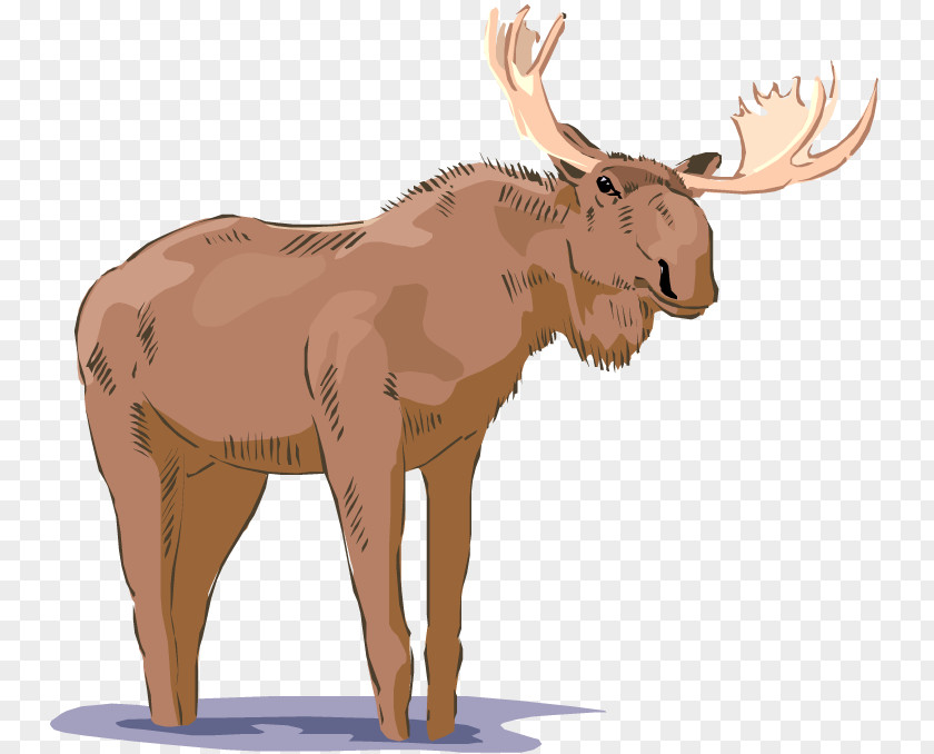 Birthday Moose Cliparts Free Content Royalty-free Clip Art PNG