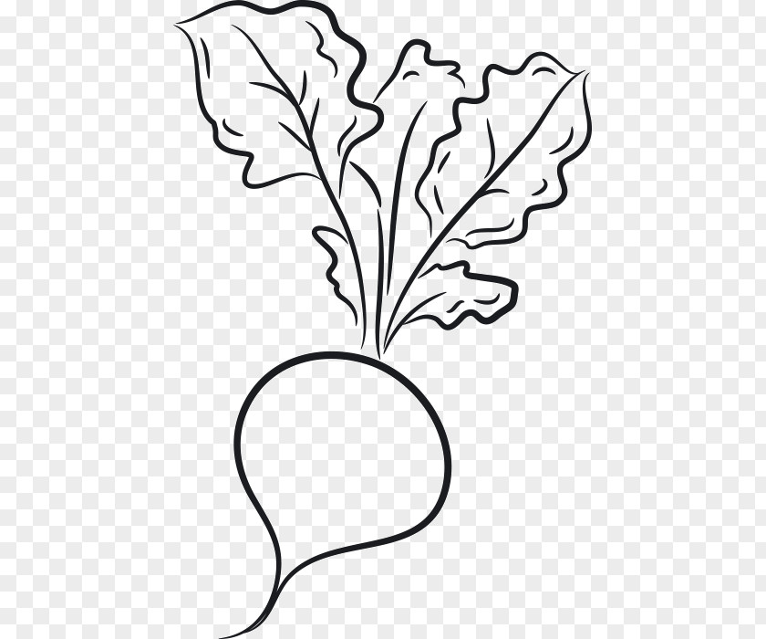 Cartoon Vegetable Design Drawing Image PNG