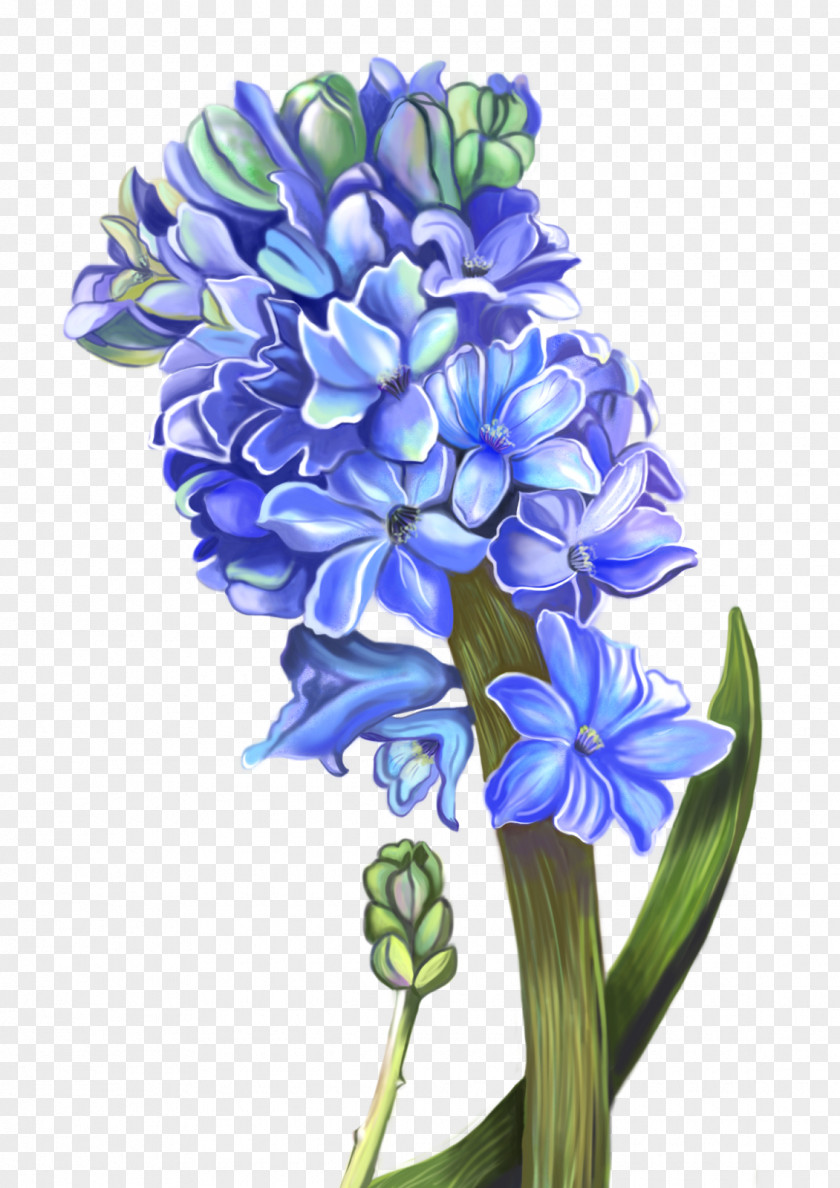 Flower Hyacinth Floral Design Cut Flowers PNG