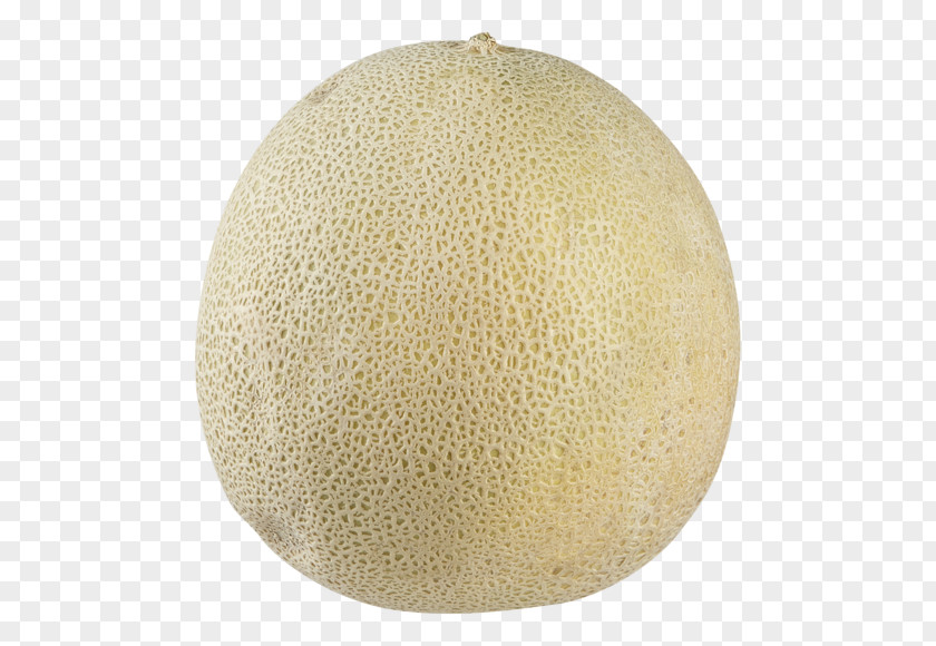 Melon Cantaloupe Watermelon Fruit Honeydew PNG