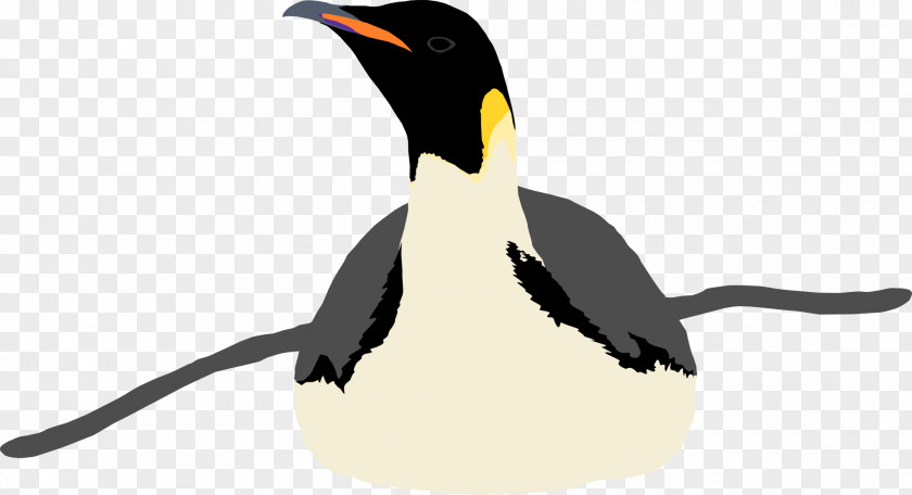 Penguin Emperor Bird King Image PNG