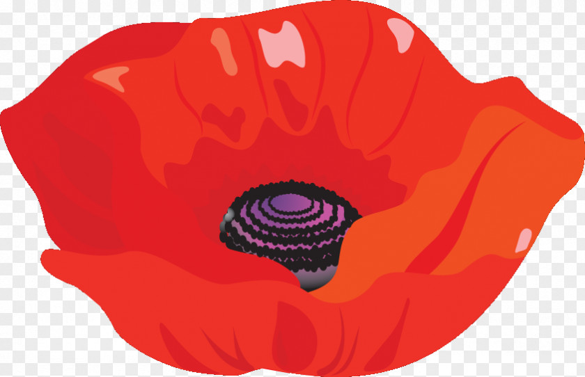 Red Poppy Flower PNG