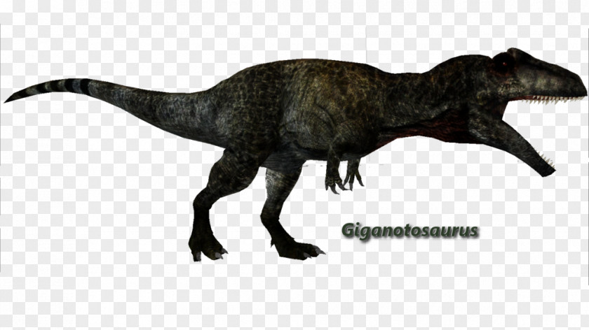 Dinosaur Giganotosaurus Argentinosaurus Carcharodontosaurus Mosasaurus Allosaurus PNG