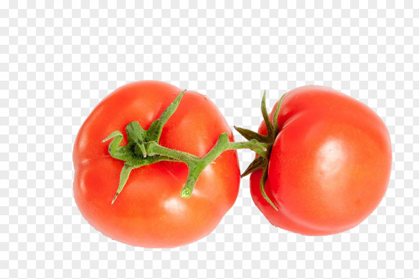 Fresh Tomato Plum Juice Cherry Bush Food PNG