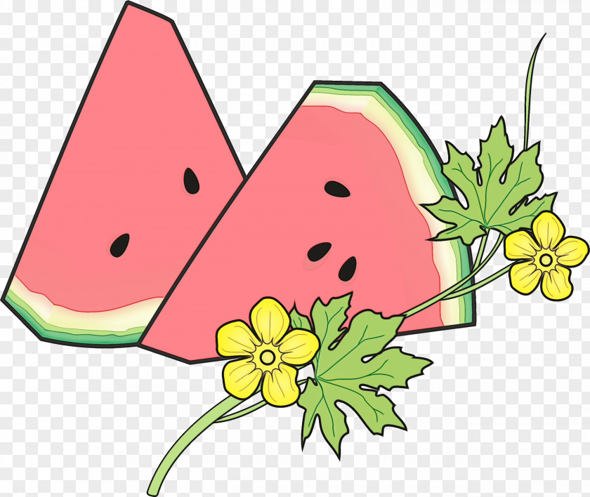 Fruit Leaf Watermelon PNG