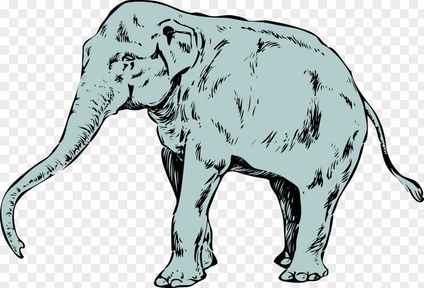 Huge Elephant Asian Tusk Pixabay PNG