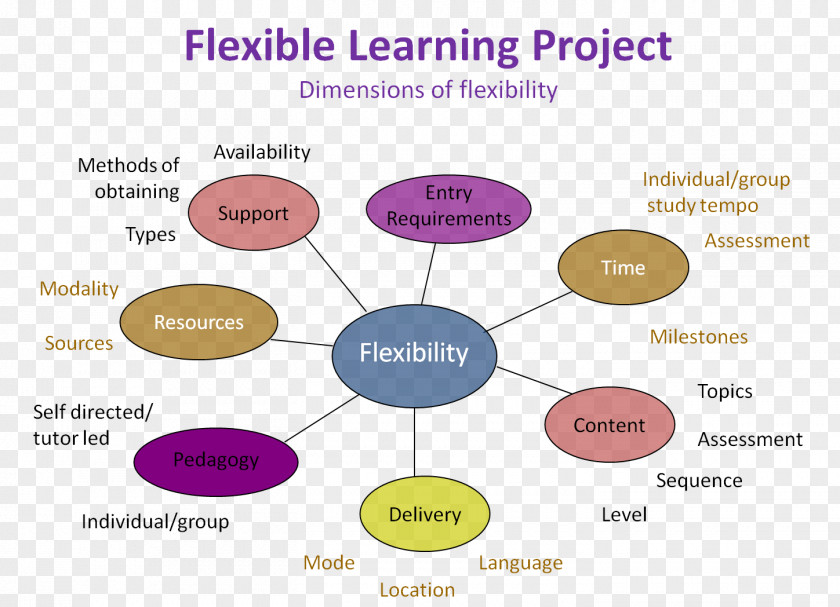 Learning Organization Brand Project PNG