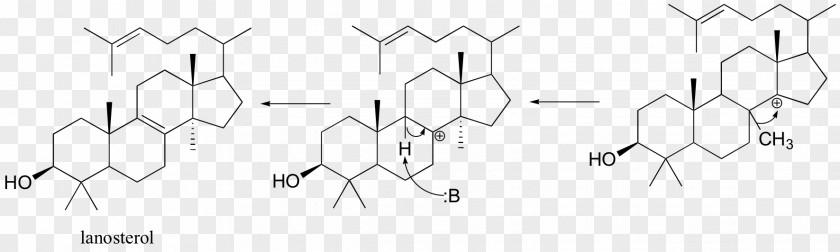 Rhodamine B Xanthene Mitomycins Organic Synthesis PNG