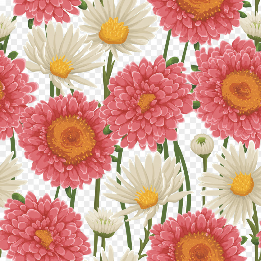 Transvaal Daisy Chrysanthemum Floral Design Family Marguerite PNG