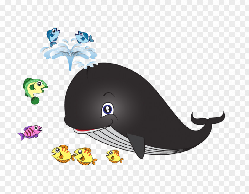 Vector Dolphins Dolphin Euclidean Whale PNG