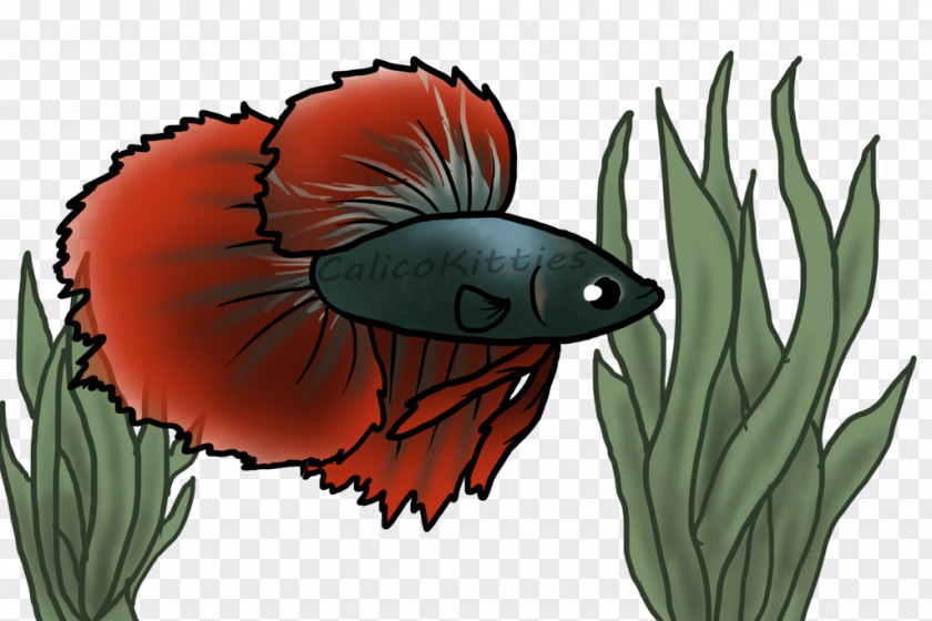Betta Insignia Illustration Clip Art Insect Flowering Plant PNG