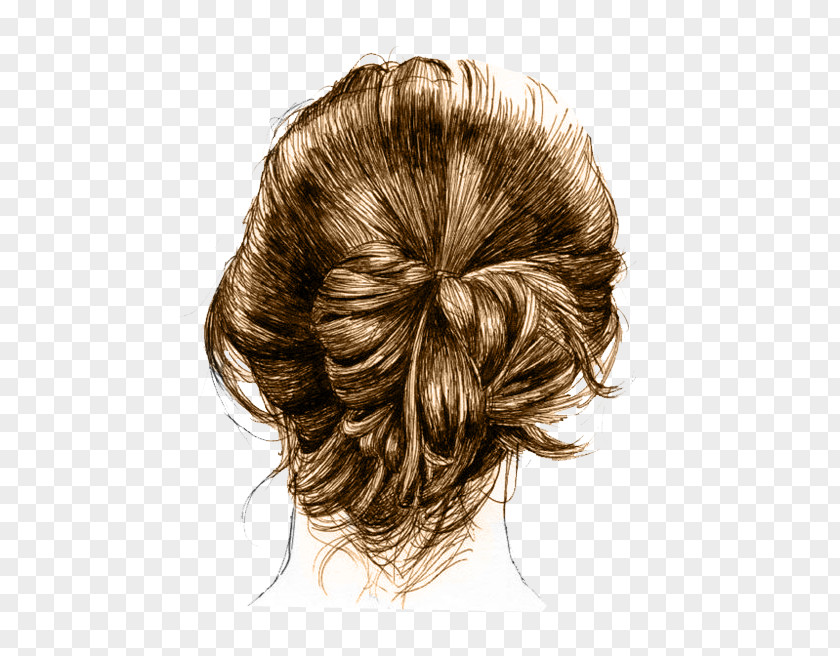 Bun Drawing Hair Ballet Dancer Sketch PNG