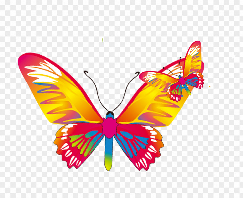 Cartoon Butterfly Material Monarch PNG