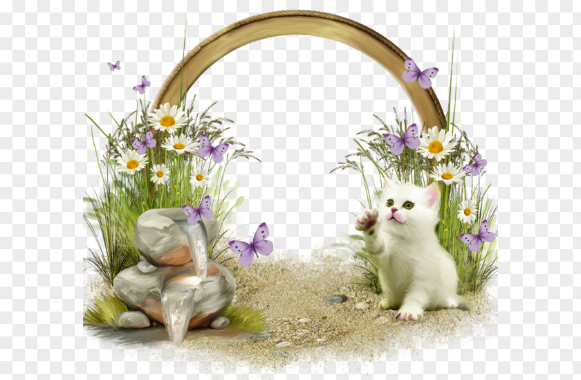CUTE FRAMES Picture Frames Photography PNG