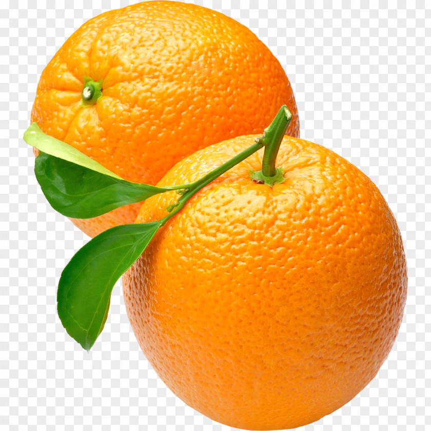 Grapefruit Orange Juice Clip Art PNG
