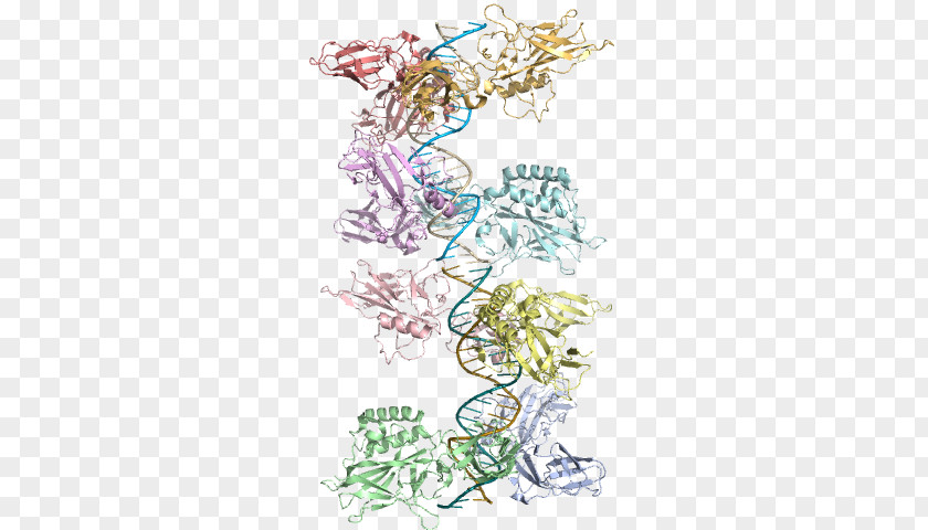 Homo Sapiens Drawing Flowering Plant /m/02csf PNG