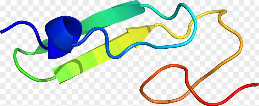 Line Clip Art PNG