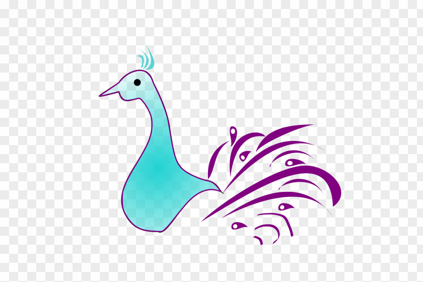 Peacock Bird Peafowl Public Domain Clip Art PNG