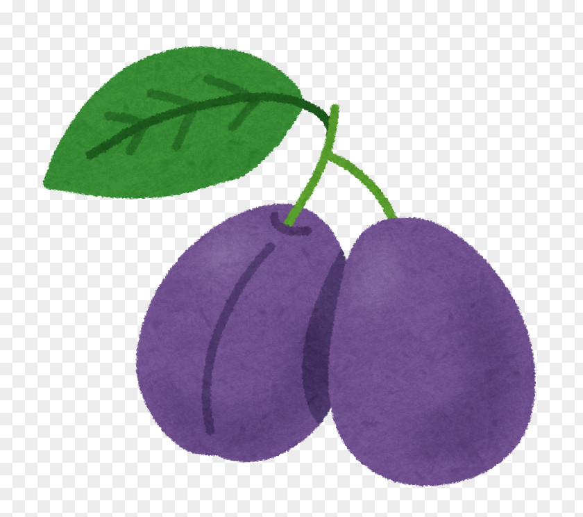 Prune Fruit Prunus Salicina Food Constipation PNG