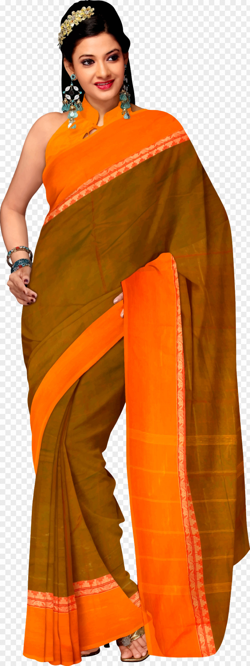 Woman Sari Clothing Paithani PNG