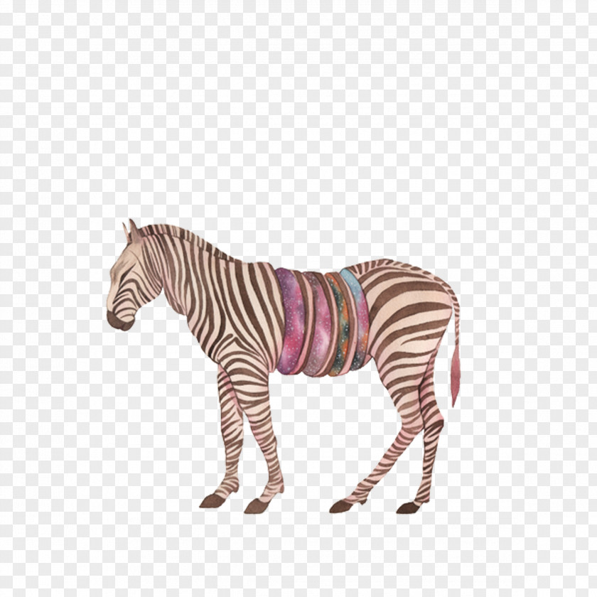 Zebra Africa Quagga PNG