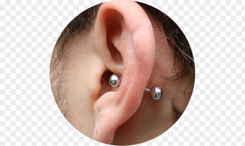 Conch Earring Piercing Body Helix Snug PNG