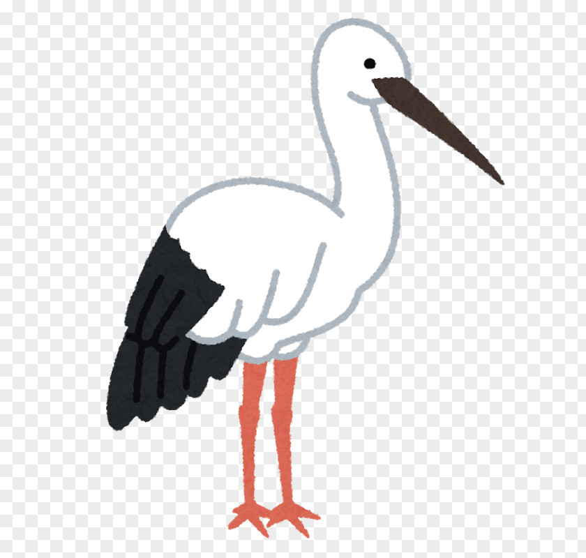 Crane White Stork Bird Beak Oriental PNG