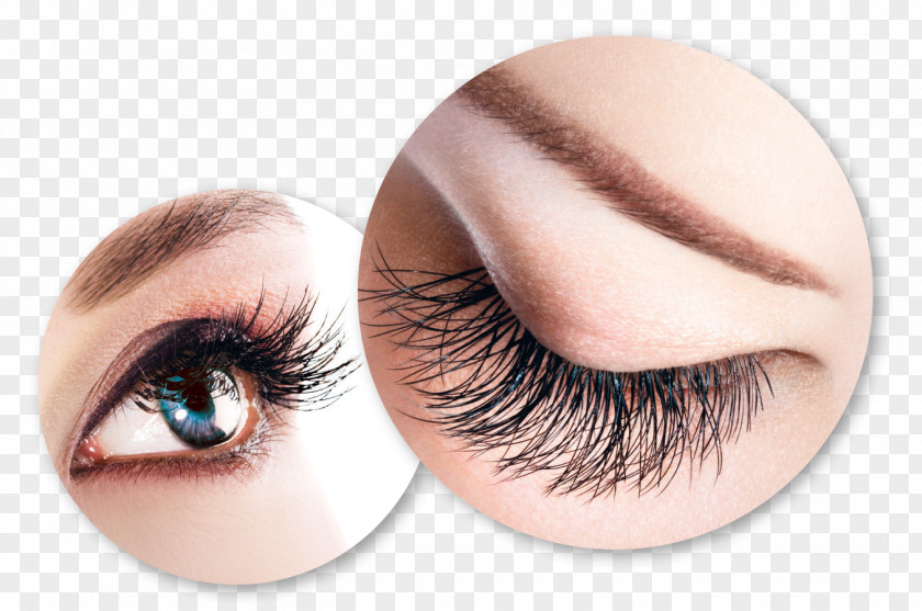 Hair Eyelash Extensions Microblading Beauty Parlour PNG